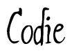 The image is of the word Codie stylized in a cursive script.