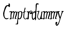 The image is of the word Cmptrdummy stylized in a cursive script.