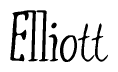 The image is of the word Elliott stylized in a cursive script.