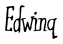 The image is a stylized text or script that reads 'Edwinq' in a cursive or calligraphic font.