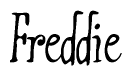 The image is a stylized text or script that reads 'Freddie' in a cursive or calligraphic font.