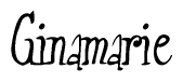 The image is a stylized text or script that reads 'Ginamarie' in a cursive or calligraphic font.