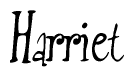 The image is of the word Harriet stylized in a cursive script.