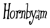 The image contains the word 'Hornbyam' written in a cursive, stylized font.