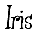 The image contains the word 'Iris' written in a cursive, stylized font.
