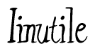 The image contains the word 'Iinutile' written in a cursive, stylized font.