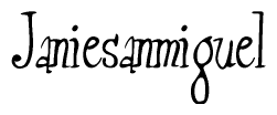 The image is of the word Janiesanmiguel stylized in a cursive script.