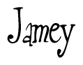 The image is a stylized text or script that reads 'Jamey' in a cursive or calligraphic font.