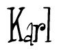 The image is of the word Karl stylized in a cursive script.