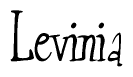 The image is of the word Levinia stylized in a cursive script.