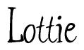 The image contains the word 'Lottie' written in a cursive, stylized font.