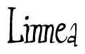 The image is a stylized text or script that reads 'Linnea' in a cursive or calligraphic font.