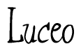 The image is a stylized text or script that reads 'Luceo' in a cursive or calligraphic font.