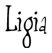   The image is of the word Ligia stylized in a cursive script. 