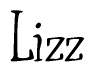 The image is a stylized text or script that reads 'Lizz' in a cursive or calligraphic font.