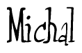 The image contains the word 'Michal' written in a cursive, stylized font.