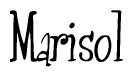The image is of the word Marisol stylized in a cursive script.