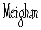 The image contains the word 'Meighan' written in a cursive, stylized font.