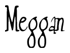 The image is a stylized text or script that reads 'Meggan' in a cursive or calligraphic font.