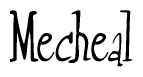 The image is a stylized text or script that reads 'Mecheal' in a cursive or calligraphic font.