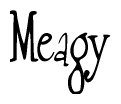 The image is of the word Meagy stylized in a cursive script.