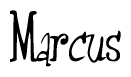 The image is of the word Marcus stylized in a cursive script.