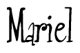 The image is of the word Mariel stylized in a cursive script.