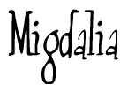   The image is of the word Migdalia stylized in a cursive script. 