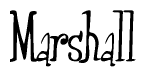 The image contains the word 'Marshall' written in a cursive, stylized font.