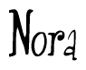 The image is of the word Nora stylized in a cursive script.