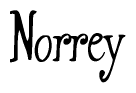 The image is a stylized text or script that reads 'Norrey' in a cursive or calligraphic font.