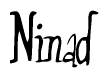 The image is of the word Ninad stylized in a cursive script.