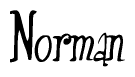 The image contains the word 'Norman' written in a cursive, stylized font.