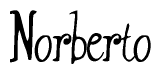 The image is of the word Norberto stylized in a cursive script.