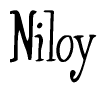 The image contains the word 'Niloy' written in a cursive, stylized font.