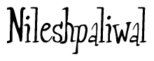 The image contains the word 'Nileshpaliwal' written in a cursive, stylized font.