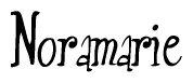 The image is of the word Noramarie stylized in a cursive script.