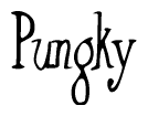 The image contains the word 'Pungky' written in a cursive, stylized font.