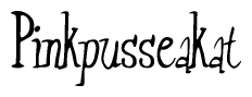 The image is of the word Pinkpusseakat stylized in a cursive script.