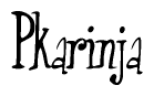 The image contains the word 'Pkarinja' written in a cursive, stylized font.