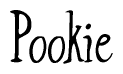 The image is a stylized text or script that reads 'Pookie' in a cursive or calligraphic font.