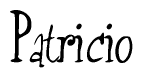 The image contains the word 'Patricio' written in a cursive, stylized font.