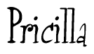 The image is a stylized text or script that reads 'Pricilla' in a cursive or calligraphic font.