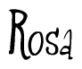 The image is of the word Rosa stylized in a cursive script.