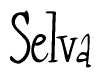 The image is a stylized text or script that reads 'Selva' in a cursive or calligraphic font.