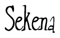 The image is of the word Sekena stylized in a cursive script.