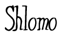 The image is a stylized text or script that reads 'Shlomo' in a cursive or calligraphic font.
