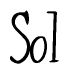 The image contains the word 'Sol' written in a cursive, stylized font.