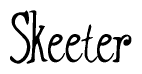   The image is of the word Skeeter stylized in a cursive script. 