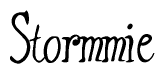 The image contains the word 'Stormmie' written in a cursive, stylized font.